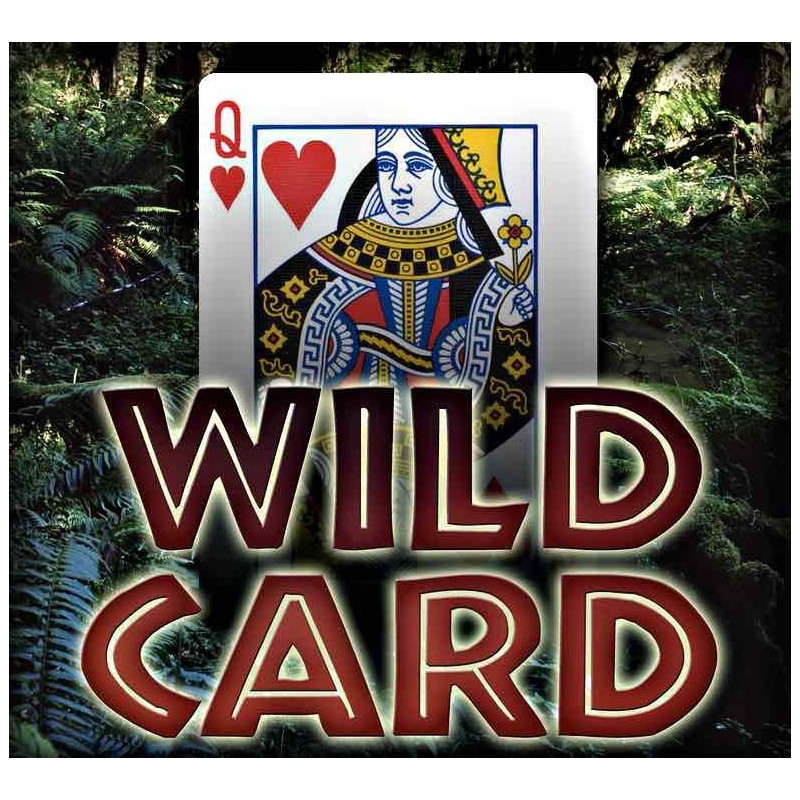 WILD CARD (CARTES FOLLES)