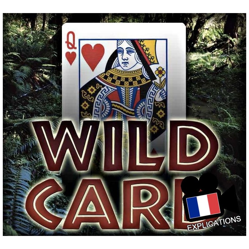 Wild Cards: Le tour de magie des cartes folles