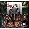 Wild Cards: Le tour de magie des cartes folles